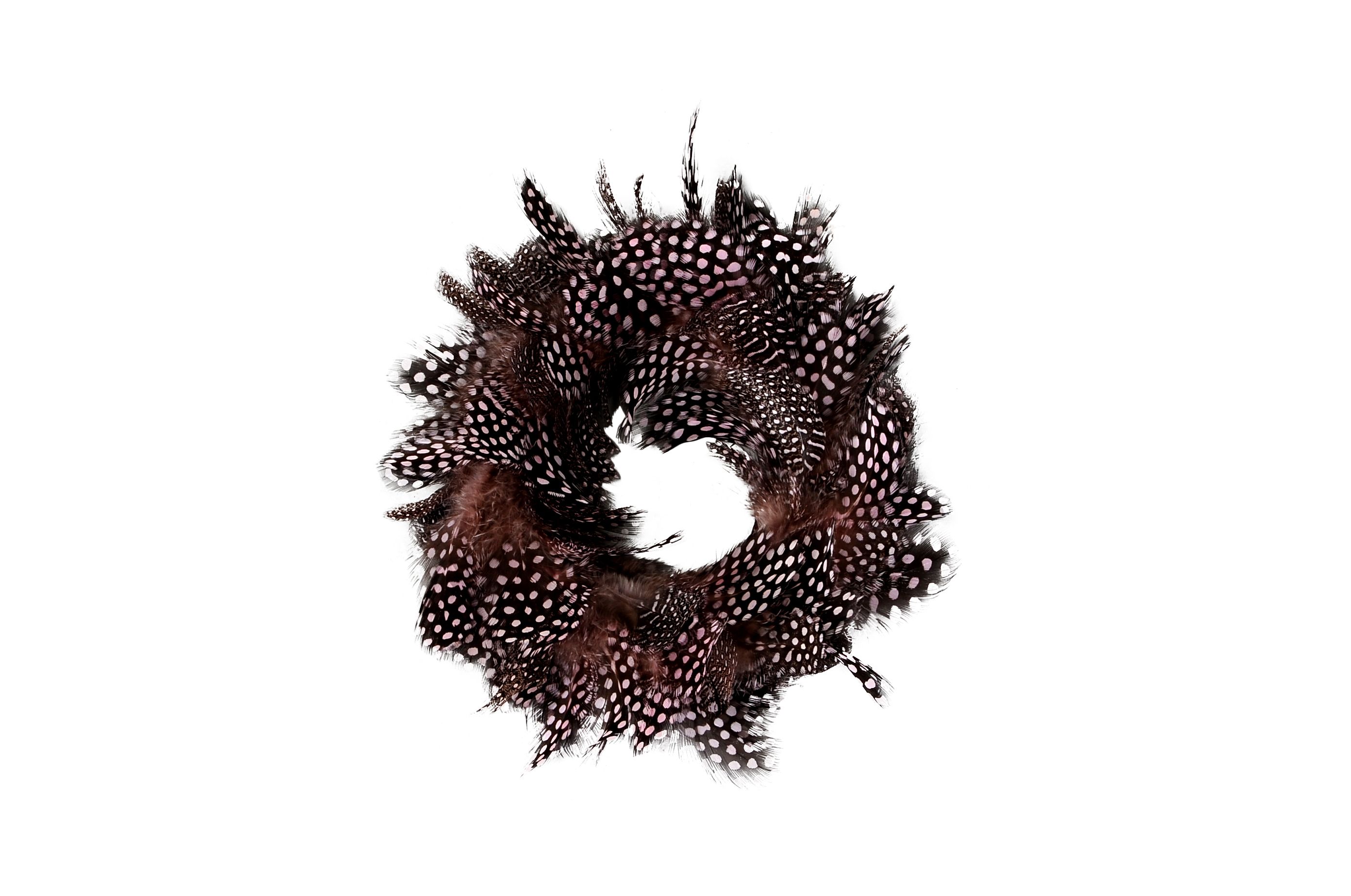 Венок "Перья"  20см