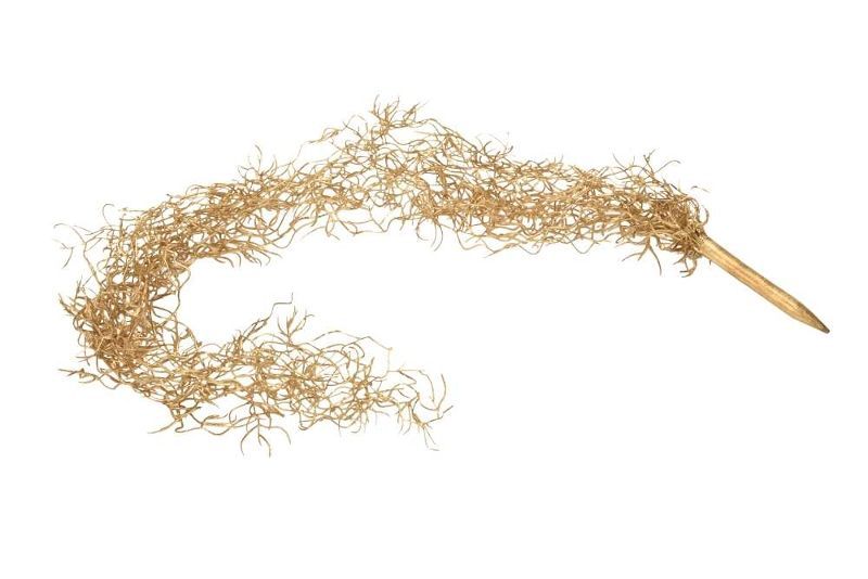 Искуственное растение Тилландсия 100см