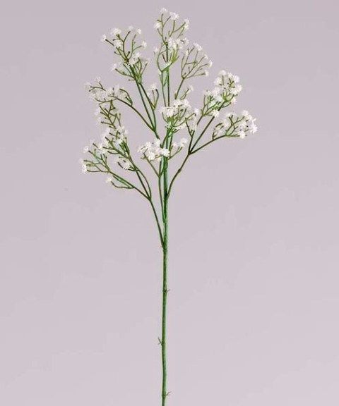 Гипсофила белая 66см