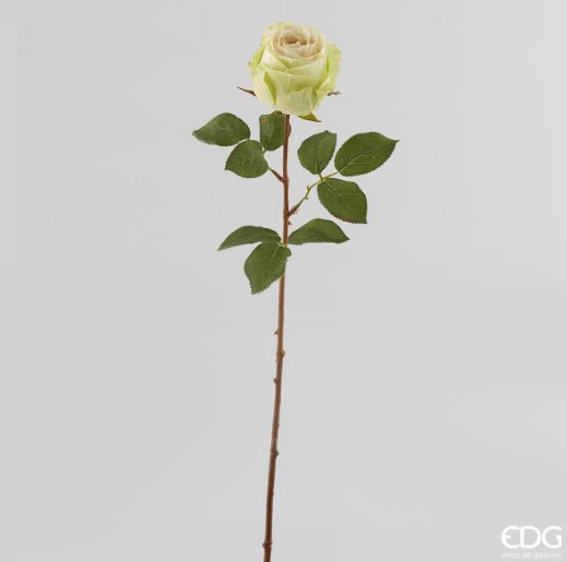 Роза кремово-зеленая 67см