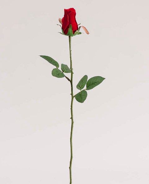 Роза бриллиант красная 62см