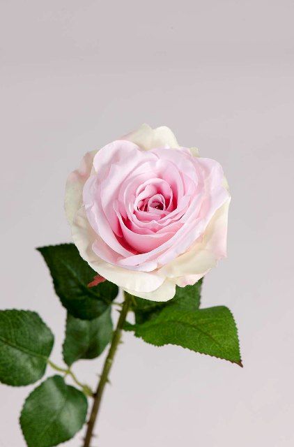 Роза розовая 52см