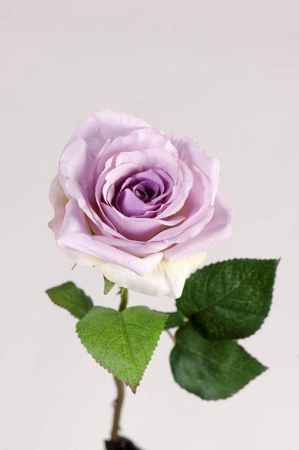 Роза лавандовая 52см