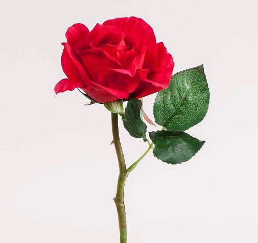 Роза бархатная красная 32см