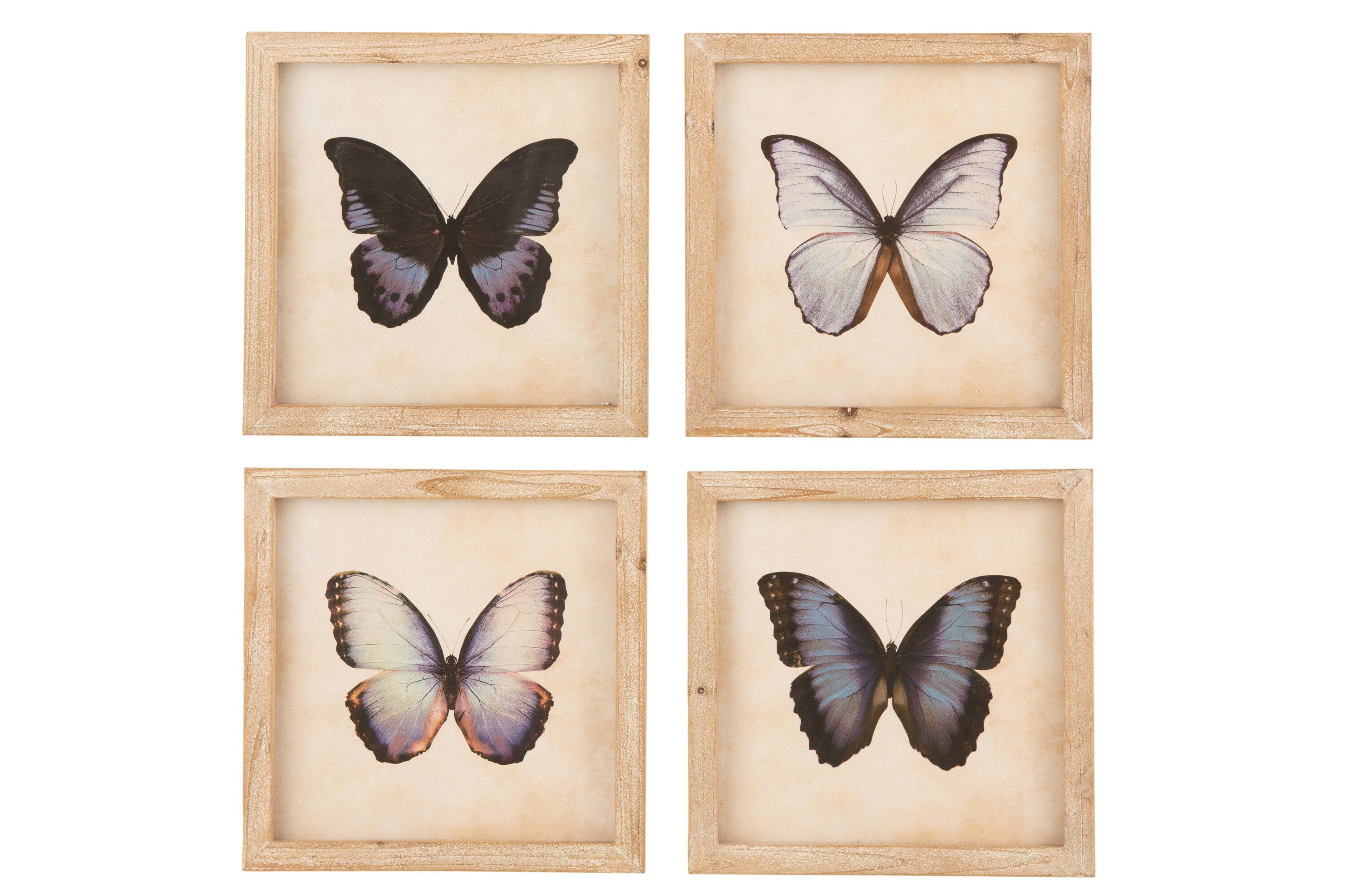 Панно "Бабочка"  в ассортименте 25x25x2см