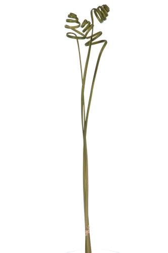 Искуственное растение 100см