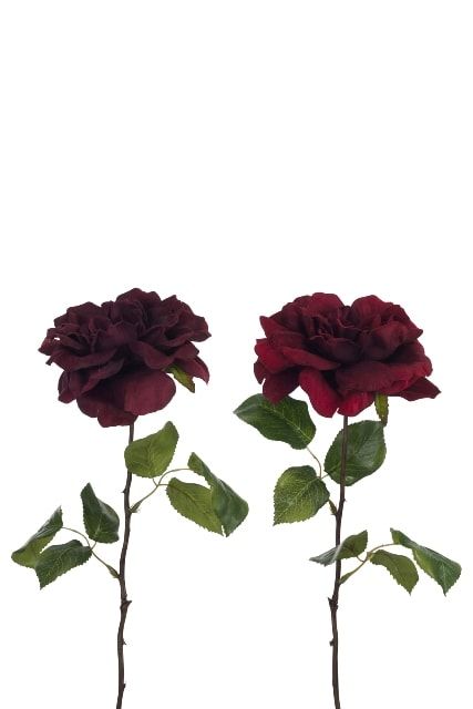 Роза бургундия в ассортименте 56см