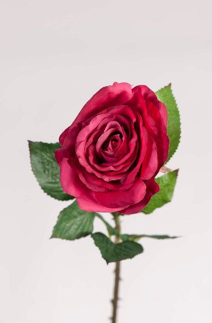 Роза бордо 52см