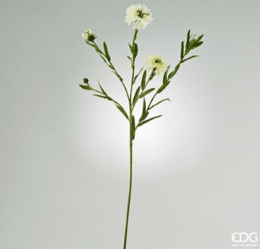 картинка Василек кремовый 64см Василек кремовый 64см