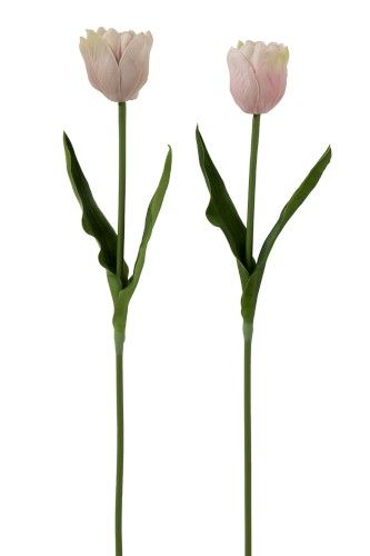 Тюльпан в ассортименте 52см