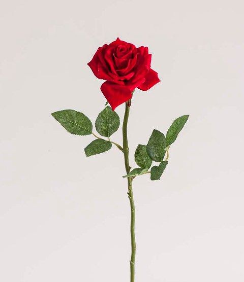 Роза бархатная красная 57см