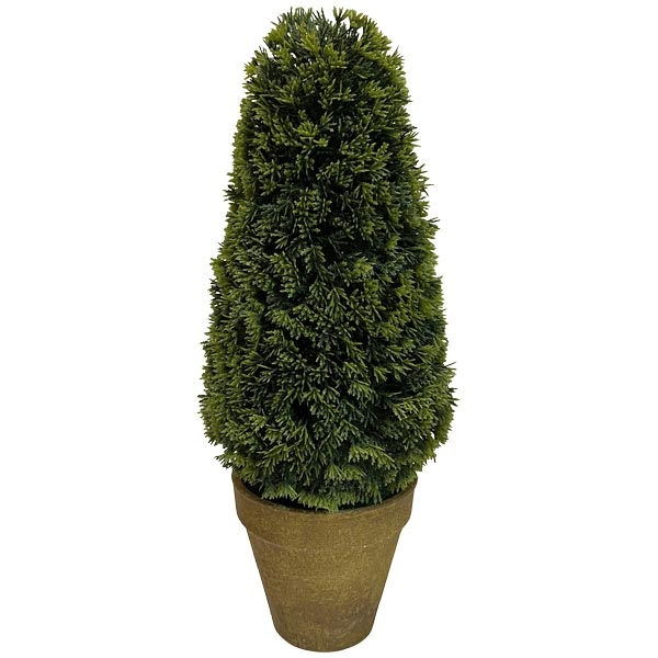 картинка Туя в кашпо 15x15x36см Туя в кашпо 15x15x36см