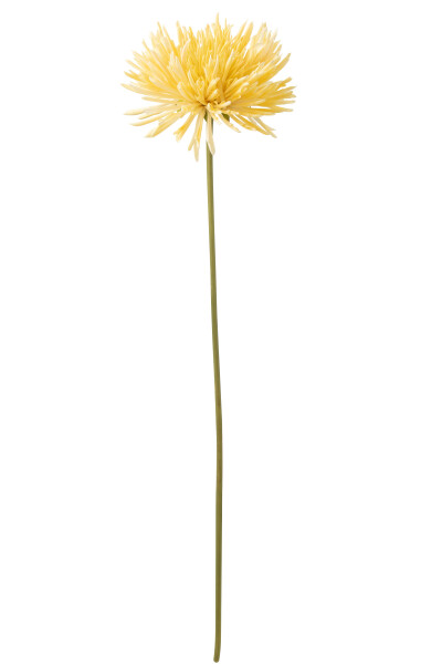Хризантема 60x10x9см