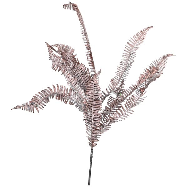 картинка Папоротник 80см Папоротник 80см