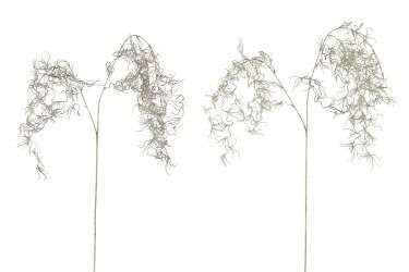 Искуственное растение в ассортименте 117см