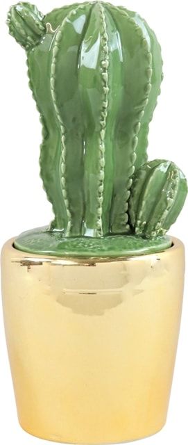 Шкатулка "Кактус" ø10x23см