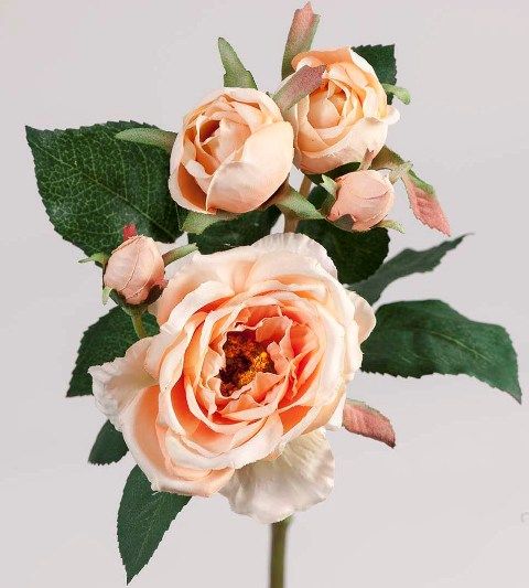 Роза персиковая-3 цветка с бутонами 38см