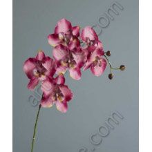 60076-21 Орхидея фаленопсис розовато-лиловая  80 см