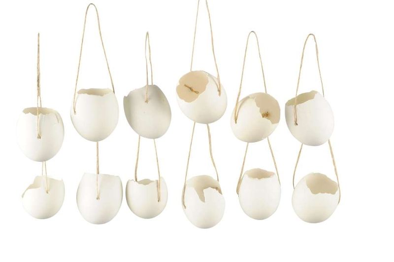 Набор из 12 шт Декор "Скорлупки" 4,5x5/10см