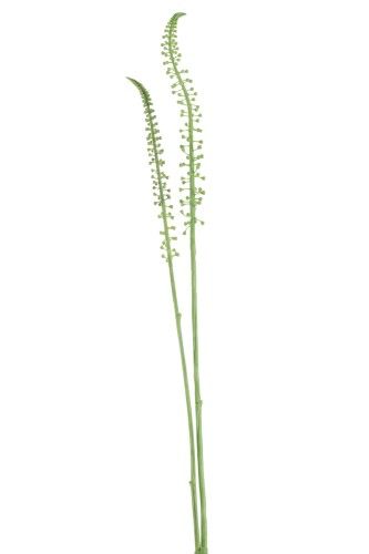 Искуственное растение 75см